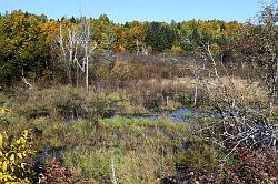 Lac-Saint-Jean naar Shawinigan